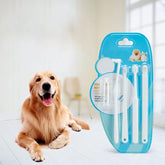 Combination Travel Folding Toothbrush Set